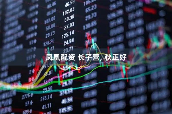 凤凰配资 长子营, 秋正好